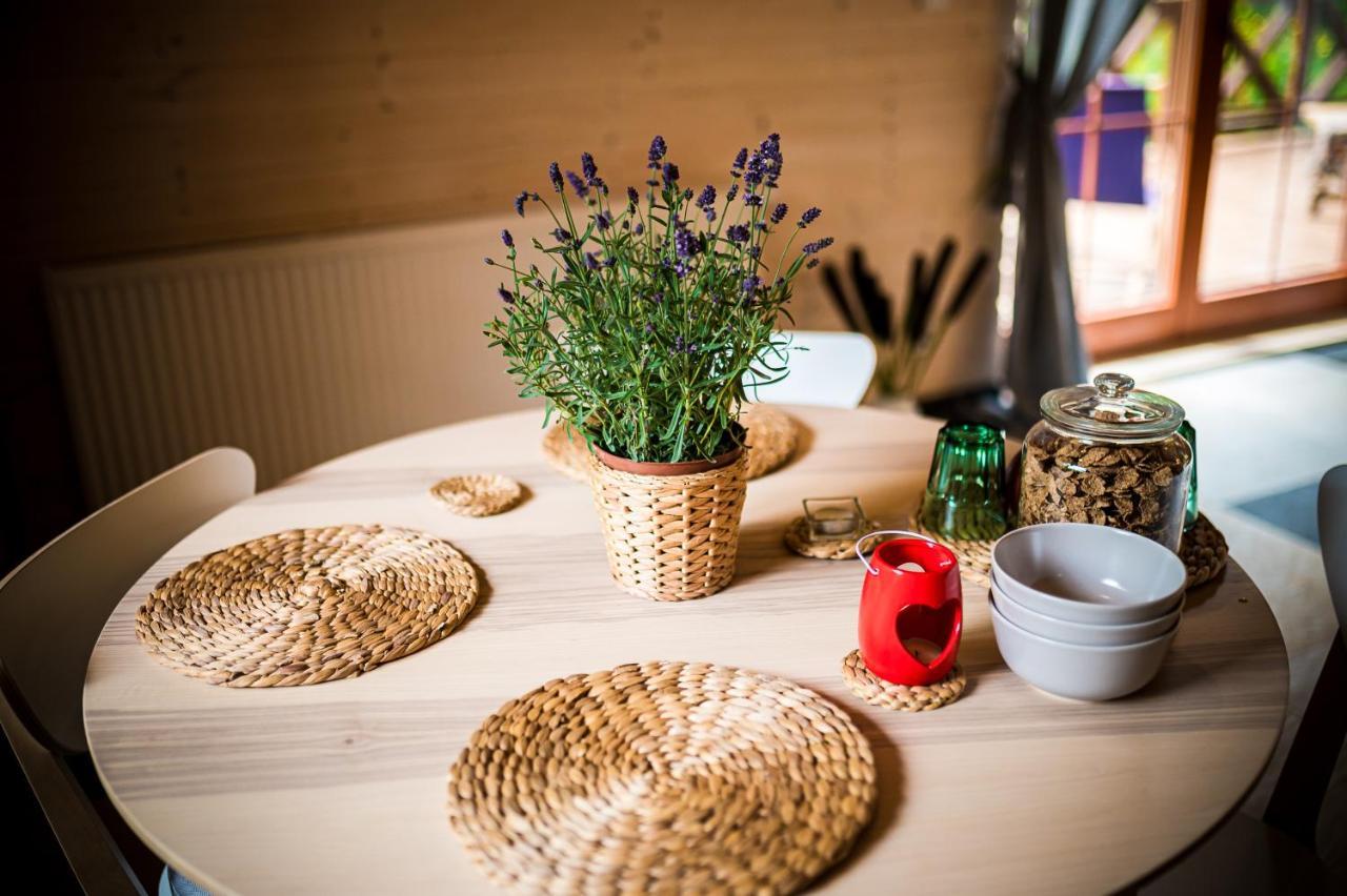 Bed and Breakfast Brzozowy Gaj Glowczyce Exterior foto