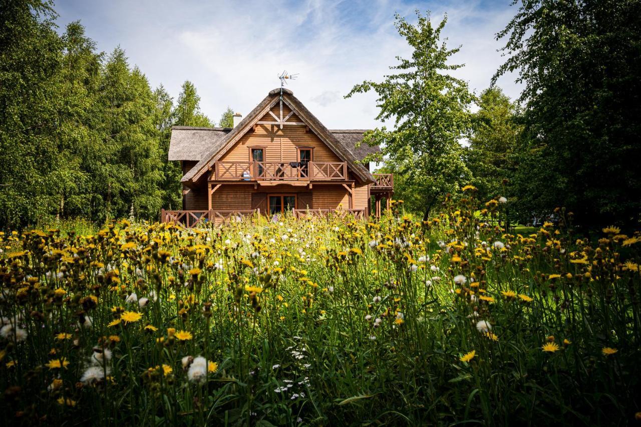 Bed and Breakfast Brzozowy Gaj Glowczyce Exterior foto
